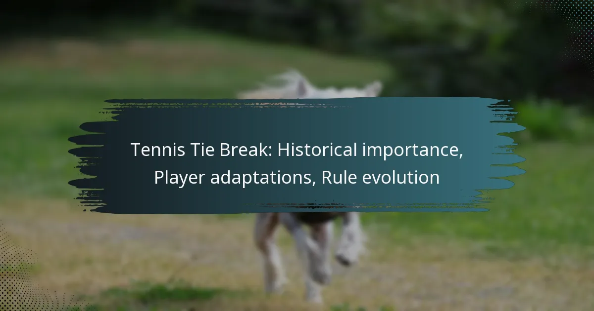 Tennis Tie Break: Historical importance, Player adaptations, Rule evolution