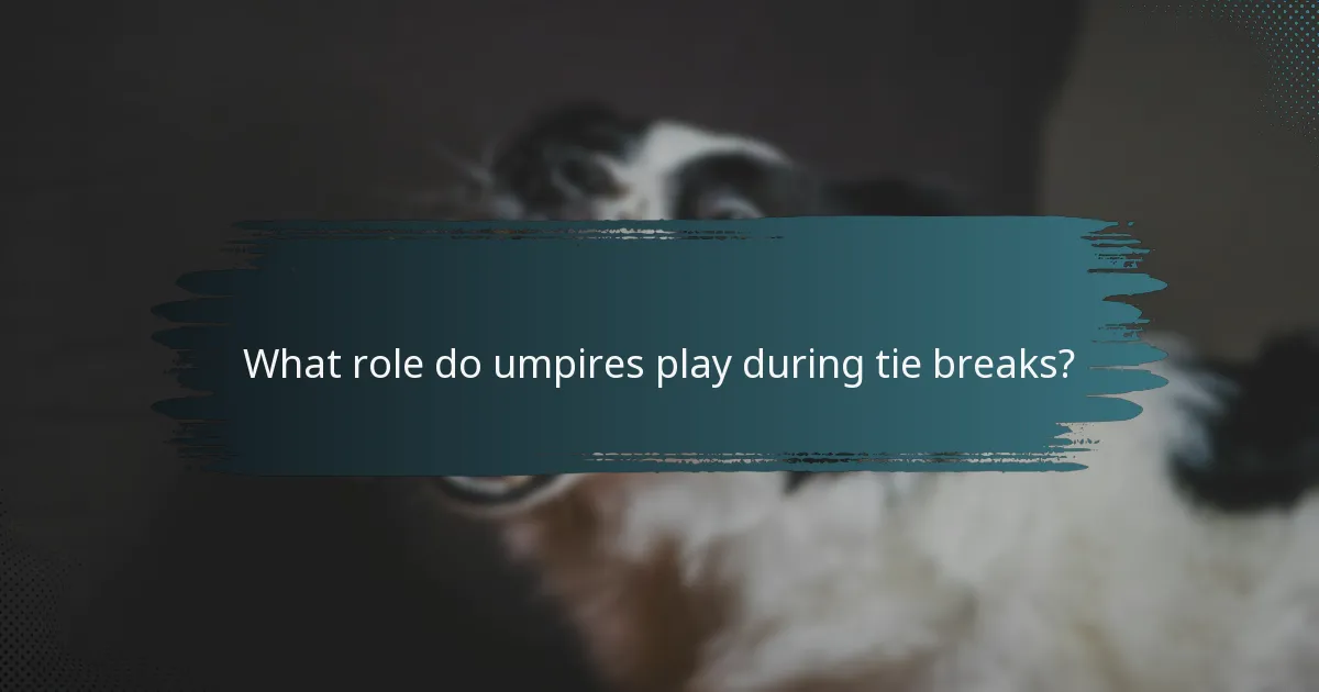 What role do umpires play during tie breaks?